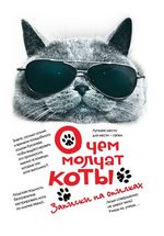 О чем молчат коты. Записки на опилках 